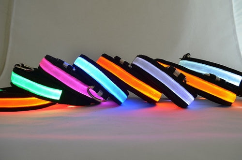 Collar luminoso LED para perros