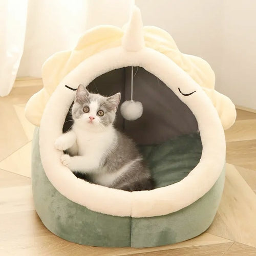 Adorable Casa Para Mascota