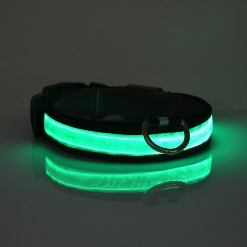 Collar luminoso LED para perros