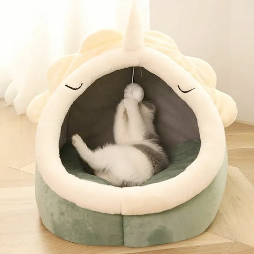 Adorable Casa Para Mascota