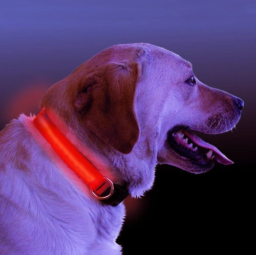 Collar luminoso LED para perros