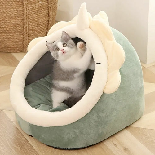 Adorable Casa Para Mascota